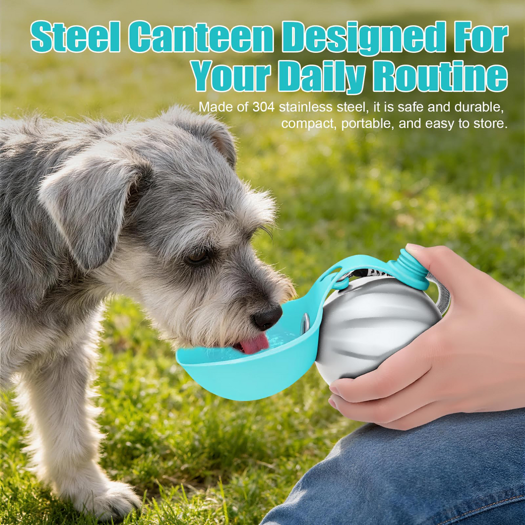 Dog water bottle outdoors